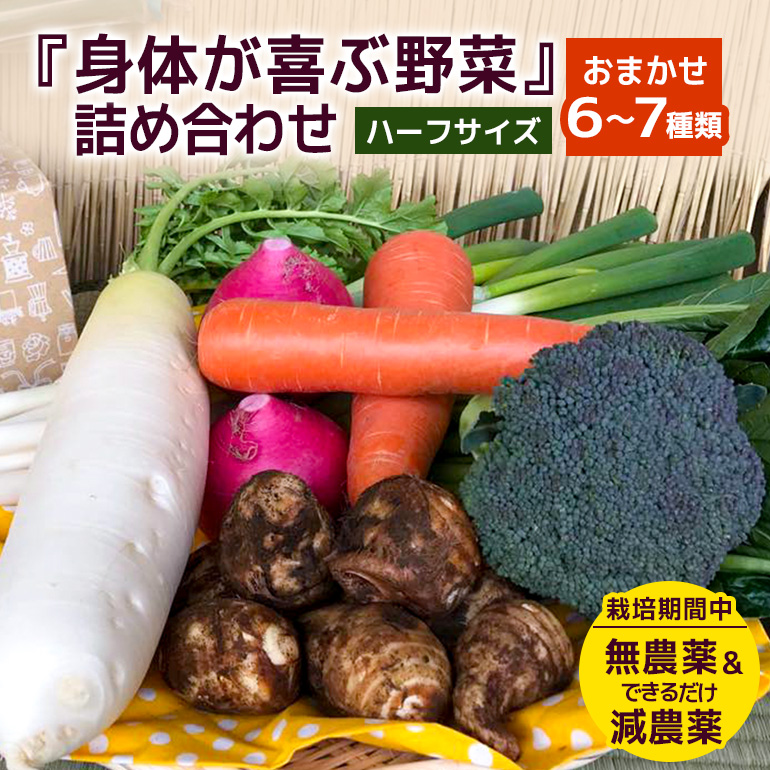<ハーフサイズ> 『身体が喜ぶ野菜』詰め合わせ ( おまかせ ) 野菜 詰合せ 詰め合わせセット お任せ 季節の野菜 セット 栽培期間中農薬不使用 有機栽培 微生物農法 EM農法 露地栽培 産地直