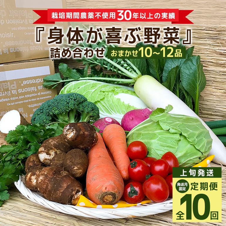<発送月固定定期便>『身体が喜ぶ野菜』詰め合わせ ( おまかせ 10〜12品) 定期便 野菜 詰合せ 上旬発送全10回 詰め合わせセット お任せ 野菜定期便 季節の野菜 セット 有機栽培 EM農法 産地