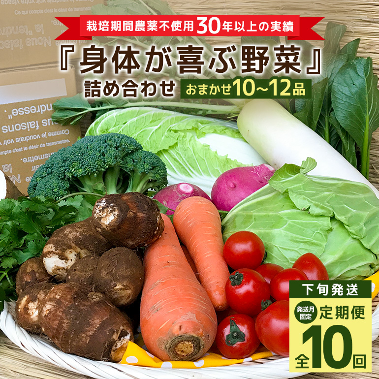 <発送月固定定期便>『身体が喜ぶ野菜』詰め合わせ ( おまかせ 10〜12品) 定期便 野菜 詰合せ 下旬発送全10回 詰め合わせセット お任せ 野菜定期便 季節の野菜 セット 有機栽培 EM農法 産地
