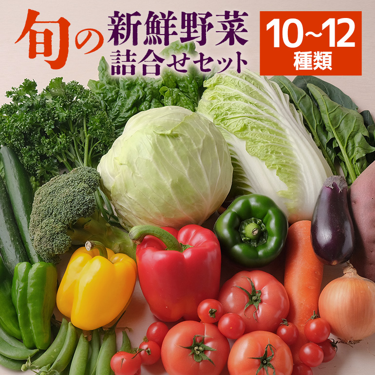 旬の新鮮野菜 詰め合わせセット 10〜12種類 季節の野菜 農家直送 朝採れ 採れたて 野菜 詰合せ セット 詰め合わせ シャキシャキ 産地直送 無農薬栽培含む 道の駅いたこ 人気 贈答用 ギフト