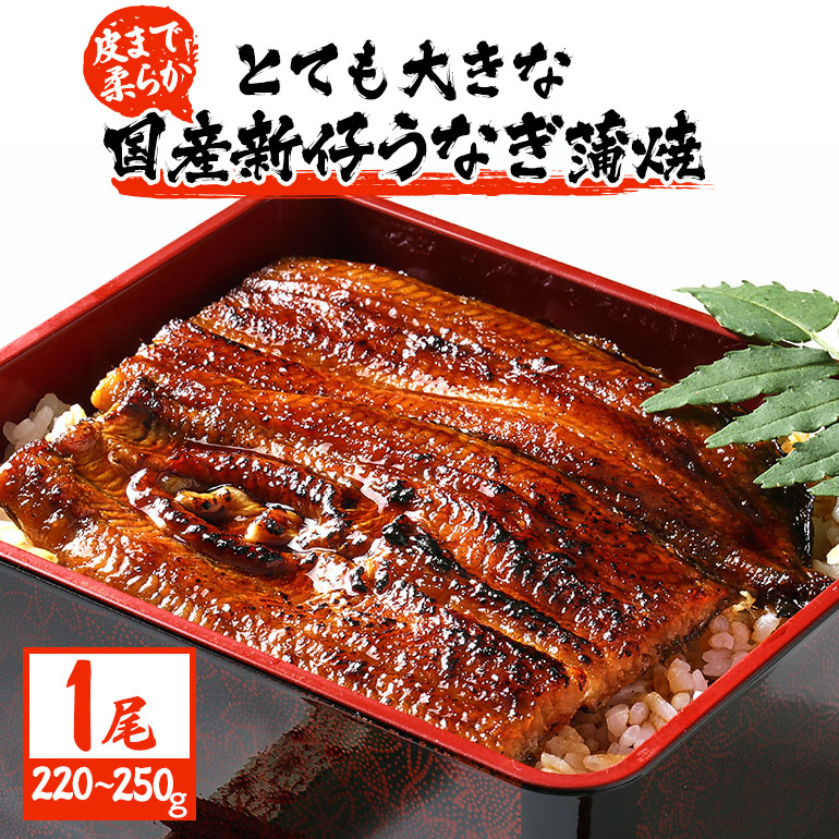 超特大!やわらか 国内産うなぎ蒲焼 220〜250g 1尾 肉厚ジューシー 国産ブランド鰻 ふっくら仕上げ 蒲焼きのタレ・山椒付き 湯煎で簡単調理 うな丼 うな重 ギフト 贈答用 冷蔵配送 国産 茨城県