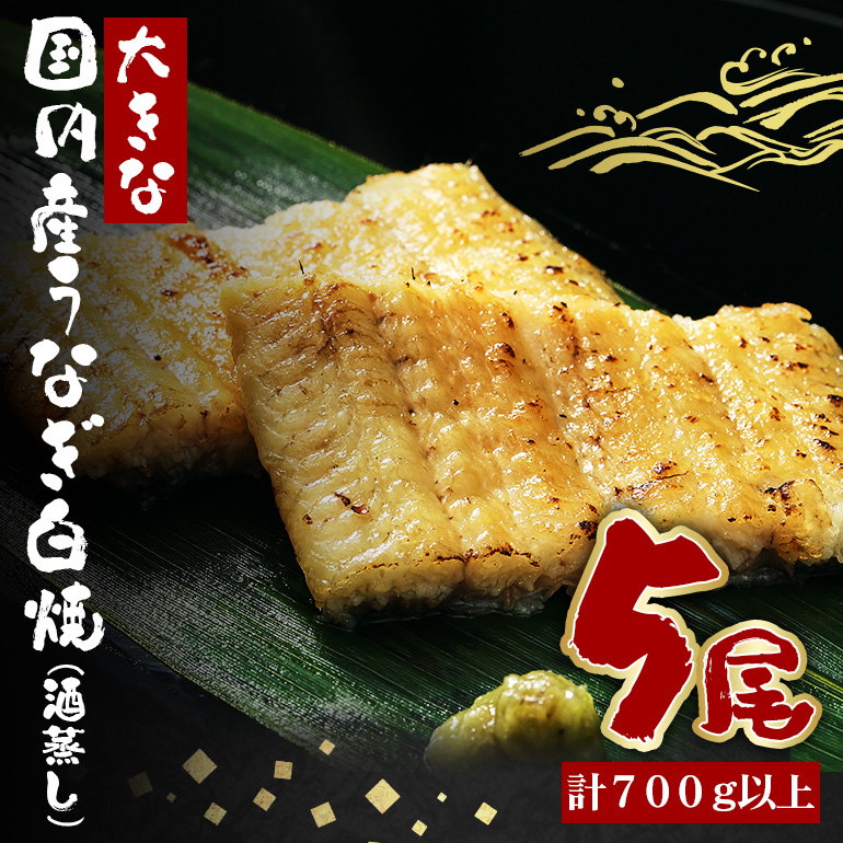 傫ȍYȂ() 140`160g 5 v700gȏ Ȃ V EiM     ^ R t ȒP p Mtg j yp̉N̓ ① Y 錧 s (A23-033)