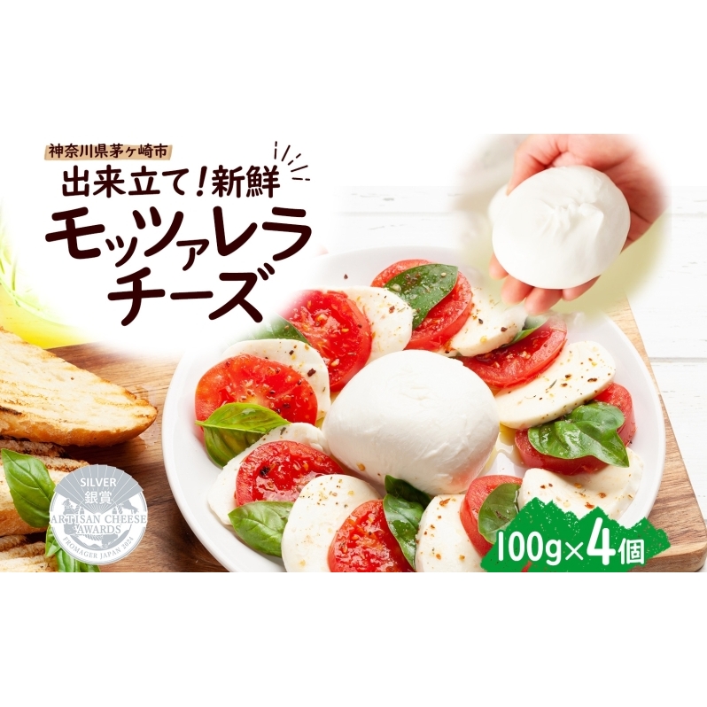 出来立て新鮮 モッツァレラチーズ100g  ×  4個セット 茅ケ崎産 加工食品 乳製品 チーズ 出来立て 神奈川県産 モッツァレラ 手作り Osteria e Bottega S 神奈川県 湘南 茅ケ崎 フレッシュチーズ  お