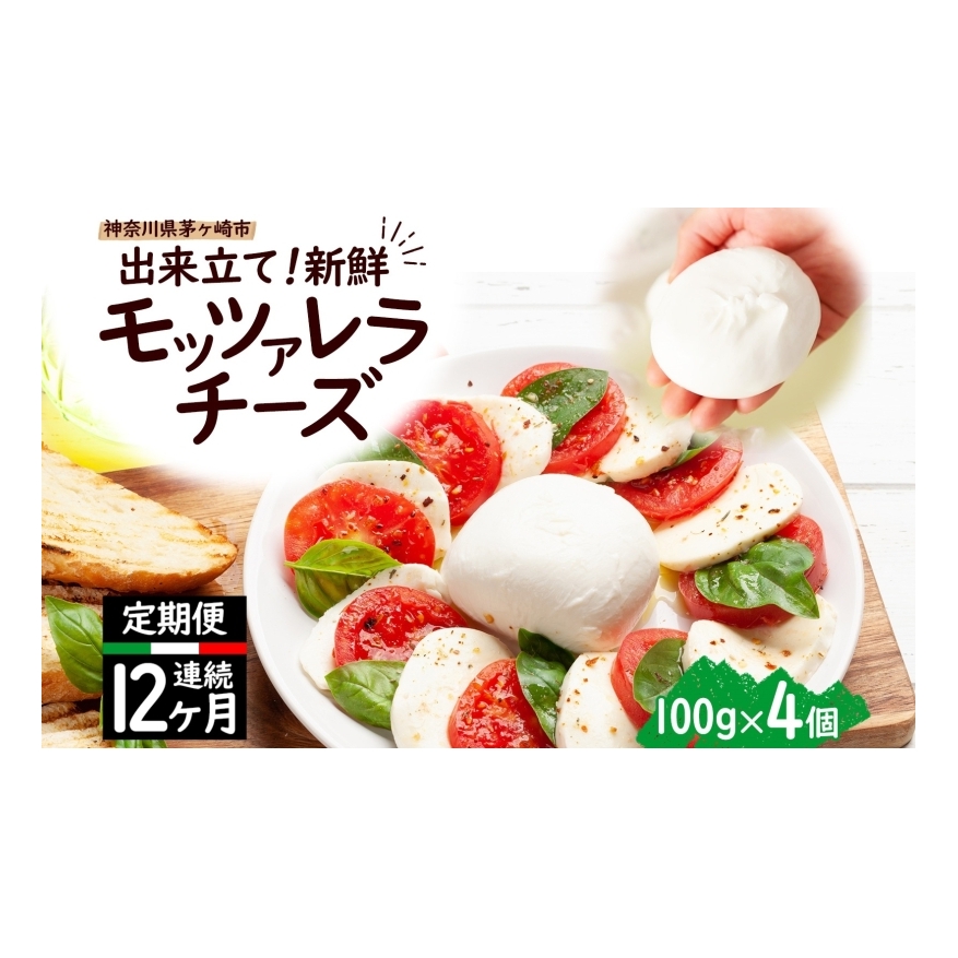 12ヶ月定期便 出来立て新鮮 モッツァレラチーズ100g  ×  4個セット 茅ケ崎産 加工食品 乳製品 チーズ 出来立て 神奈川県産 モッツァレラ 手作り Osteria e Bottega S 神奈川県 湘南 茅ケ崎 フレッシ