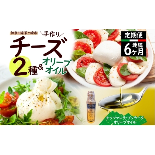 【ふるさと納税】6ヶ月定期便 フレッシュチーズ 2種 オリーブオイル セット モッツァレラ 100g 2個 ブッラータ 160g 1個 オリーブオイル 100ml チーズ おつまみ  神奈川県 茅ヶ崎市神奈川県茅ヶ