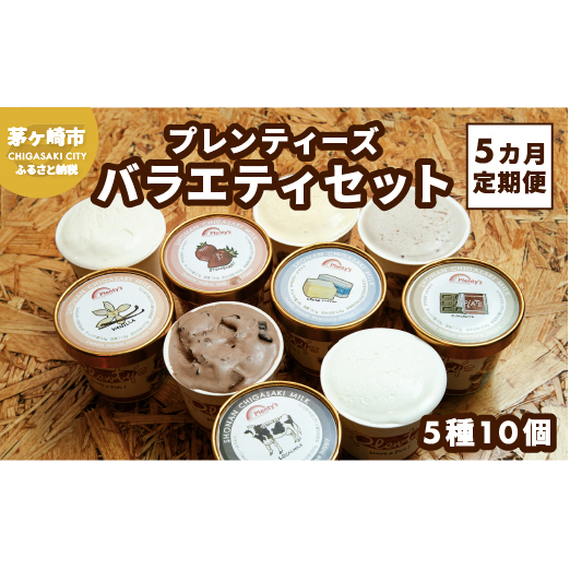 5ヵ月定期便 プレンティーズ バラエティアイスセット 5種10個 バニラ 生チョコレート ストロベリー クリームチーズ 茅ヶ崎しぼりたてミルク アイス アイスクリーム 氷菓 ひんやり お取り寄