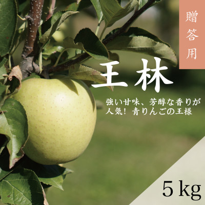 【贈答用】藤崎町産りんご 王林約5kg(12〜20個)【配送不可地域:離島・沖縄】【1031230】青森県藤崎町15000果物・フルーツりんご・梨
