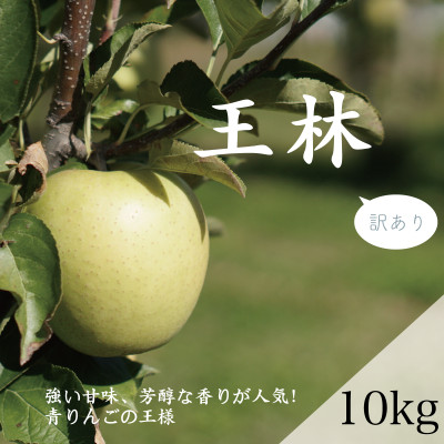 【家庭用】藤崎町産りんご 王林約10kg(24〜40個)【配送不可地域:離島・沖縄】【1031231】青森県藤崎町15000果物・フルーツりんご・梨