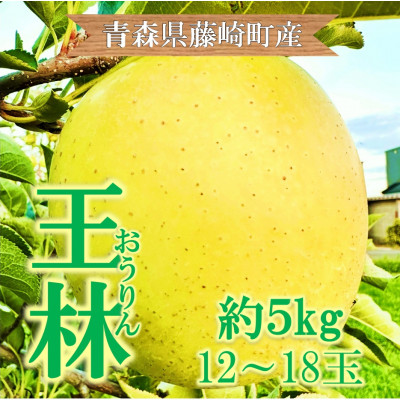 青森県藤崎町産りんご 王林 家庭用 約5kg【配送不可地域:離島・沖縄】【1110659】青森県藤崎町13000果物・フルーツりんご・梨
