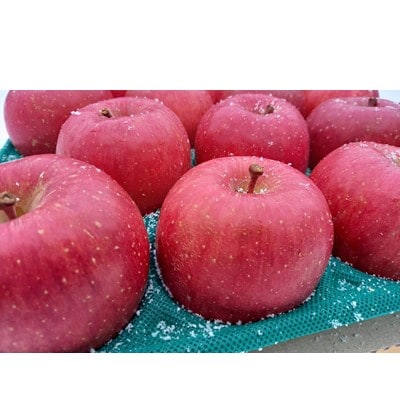 サンふじ 贈答品 約3kg(8〜12個)【配送不可地域:離島・沖縄】【1240456】青森県藤崎町15000果物・フルーツりんご・梨