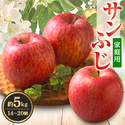 サンふじ 家庭用 約5kg(14〜20個)【配送不可地域:離島・沖縄】【1240457】青森県藤崎町14000果物・フルーツりんご・梨