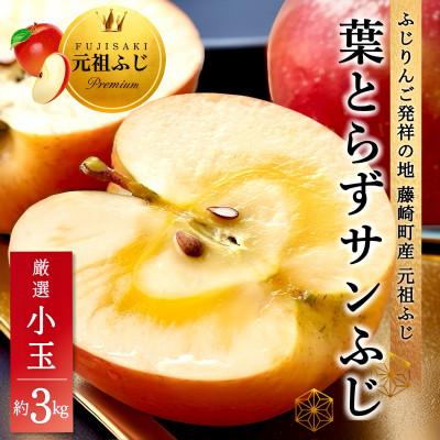 葉とらずサンふじ 厳選 小玉 約3kg ご家庭用りんご(訳あり) 青森県産リンゴ 青森林檎【配送不可地域:離島・沖縄】【1278838】青森県藤崎町12000果物・フルーツりんご・梨
