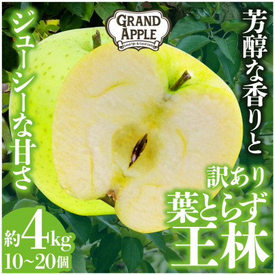 「王林」訳あり約4kg【配送不可地域:離島・沖縄】【1442055】青森県藤崎町8000果物・フルーツりんご・梨