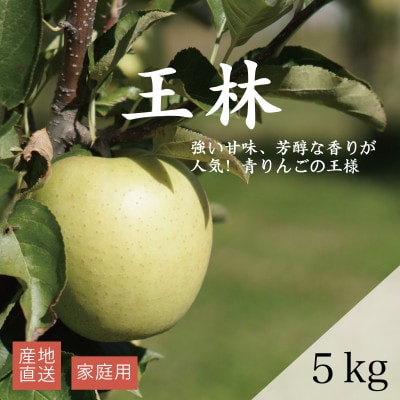 【産地直送】「王林」りんご 家庭用 5kg(12〜20個)【配送不可地域:離島・沖縄】【1667204】青森県藤崎町12000果物・フルーツりんご・梨
