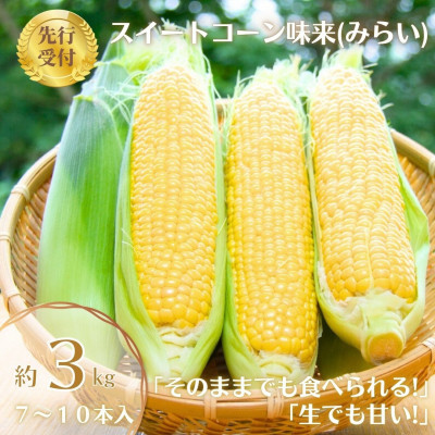 【先行受付2025年】とうもろこし味来(みらい 約3.0kg) 数量限定【配送不可地域:離島】【1451274】宮城県村田町12000野菜・きのことうもろこし