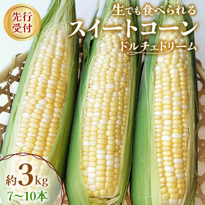 【先行受付2025年】とうもろこし ドルチェドリーム 約3.0kg 数量限定【配送不可地域:離島】【1451276】宮城県村田町12000野菜・きのことうもろこし