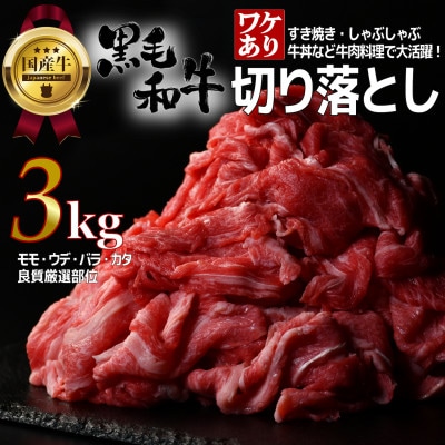 y󂠂z{錧Yјa 3.0kg(500g×6)ʌI؂藎Ƃ ĂEԂԗpyzsnFzy1571150z{錧c45000