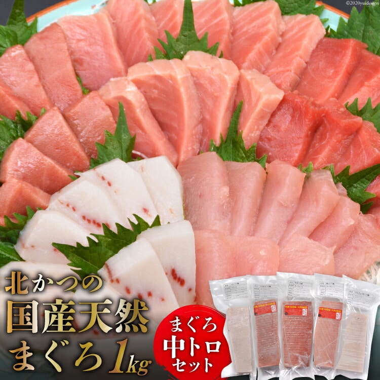 k̃}O gZbg [k {錧 Cs 20563599]  hg   ܂ }O {}O }O g JWL o` ߂΂ r`E Ⓚ   VN {