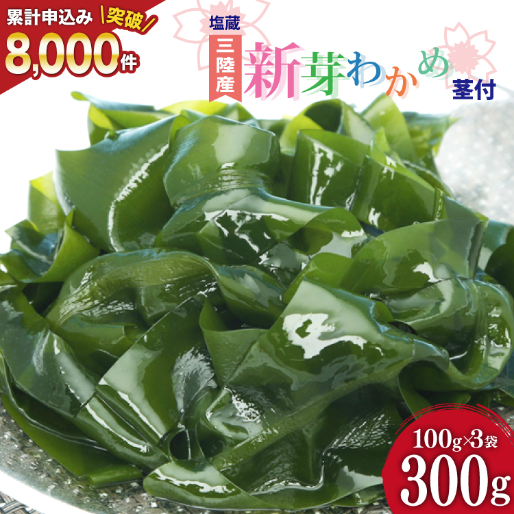 新芽わかめ　宮城県石巻産　新もの！ 新芽わかめ 宮城県石巻産 新ものの通販 by みき's shop｜ラクマ