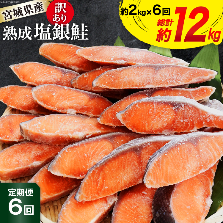  s6A͂t 󂠂 {錧Y n  ؐg 2kg×6 v12kg [{铌m {錧 Cs 20564499]   CN Y   Ì TP ؐg VP ؂g Ⓚ  ٓ x