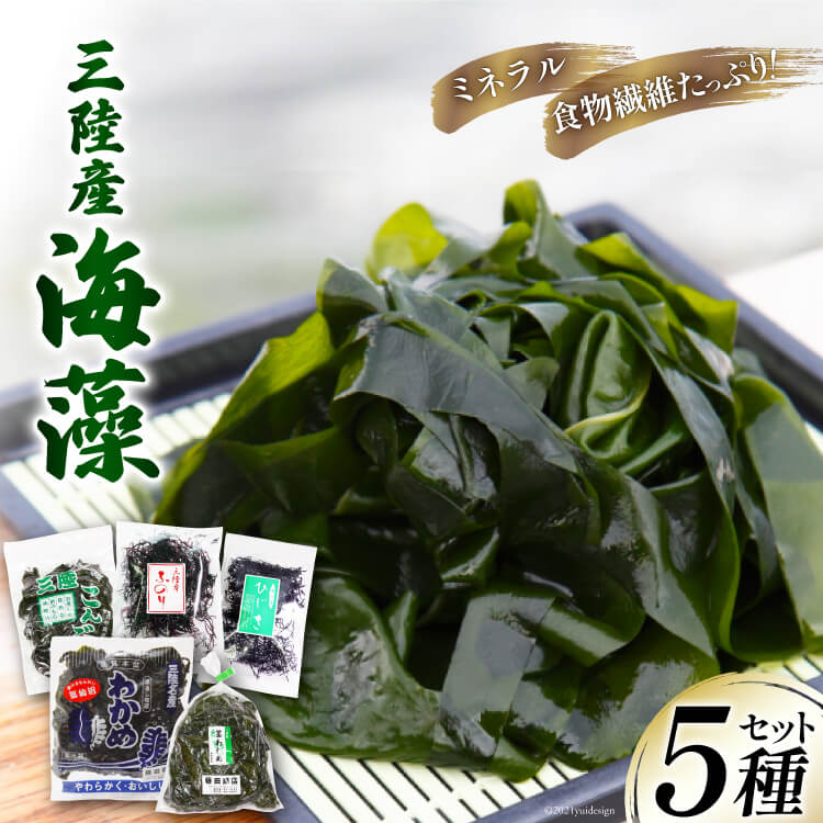OY C 5Zbg ( 킩 s킩 Ђ ӂ̂ z ) [肭݂炢 {錧 Cs 20564805] O CY CY lߍ킹 OY킩 J {錧Cs26500EC