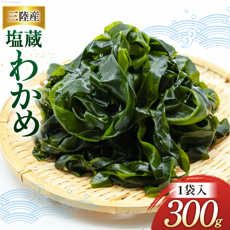 킩 OY 킩 300g×1 [݂ {錧 Cs 20564826] C J 킩 J  CY{錧Cs6500ECŶEC