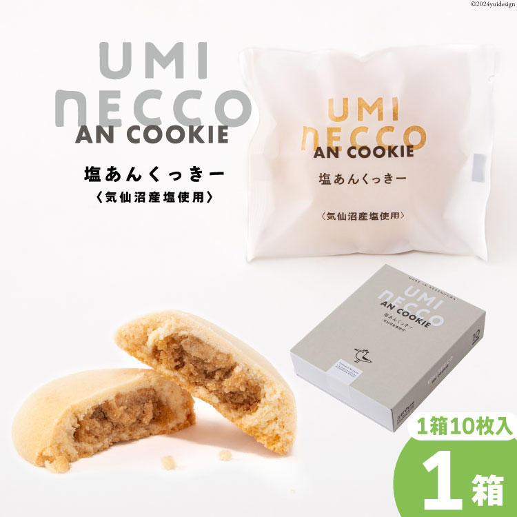 NbL[ ݂˂[񂭂[ 10 [R}َqX {錧 Cs 20564843] َq َq XC[c mَq fU[g   Q Q   {錧Cs12000