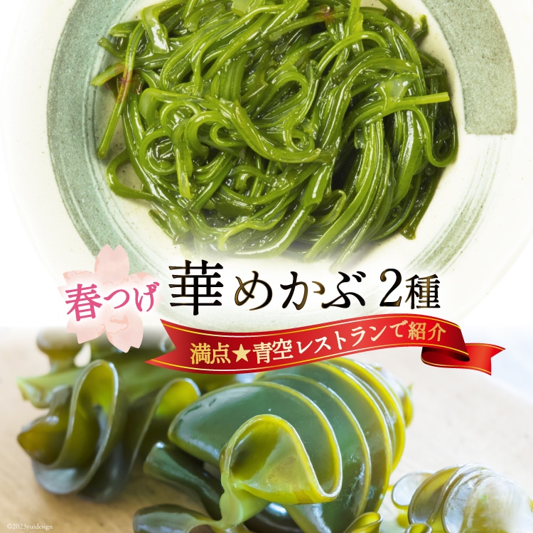 __󃌃XgŏЉ^ t؂߂ Zbg i؂胁JuE킬Ju) [38 {錧 Cs 20565075] C Ju ߂  芔 O߂ Hה ①{