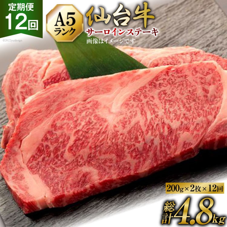 12   䋍 A5 T[C Xe[L 200g×2×12 v4.8kg [CsYU {錧 Cs 20565332]  a јa 12{錧Cs414500
