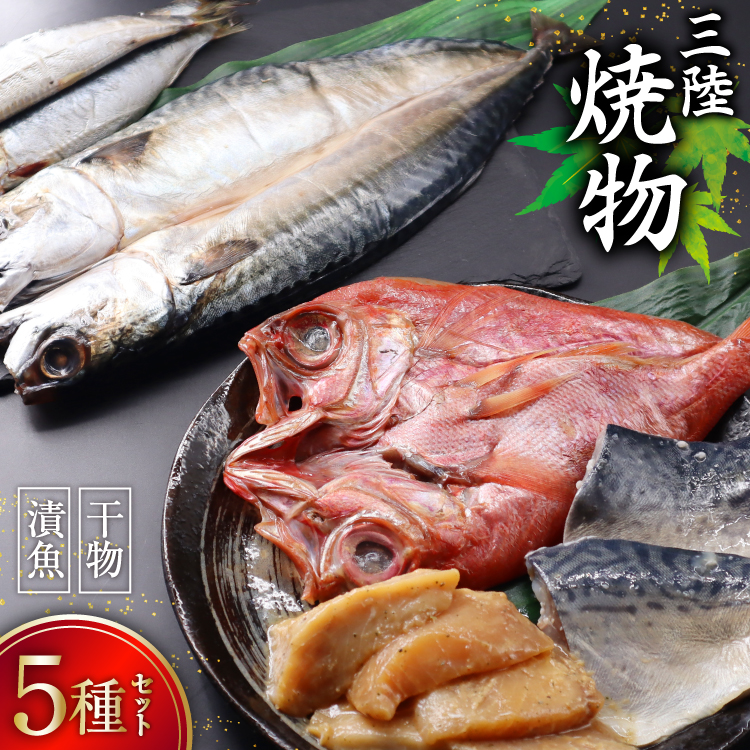 OĕZbgB 5 ڑ 銱 & I  & ߂ X & 킵 ۊ &  銱 [Ђ܂Hi {錧 Cs 20565490]    Ћ ؂g y lߍ킹 