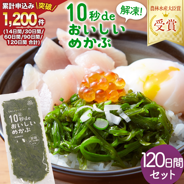 TVEVŏЉ ! 10bde߂ 120ԃZbg(Ɛ^t) [۔ɏX {錧 Cs 20565507] C O OY  ߂ Ju Y ^t ①{錧Cs42000Z