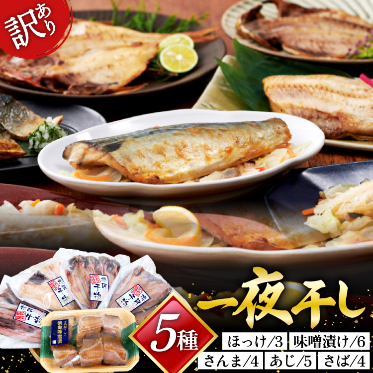 󂠂  5 5p [CsYU {錧 Cs 20565738]   lߍ킹 Zbg KiO ƒp A 킯 Ђ̋{錧Cs15500ECY
