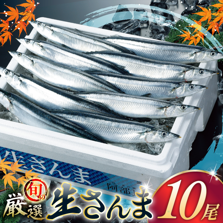 yԌ蔭z   10 [X {錧 Cs 20565760]  T} H N N Gߌ{錧Cs23500ECYN