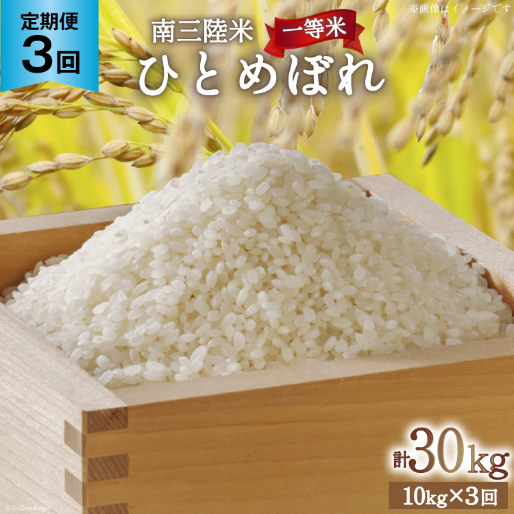 3   CY O ЂƂ߂ڂ 10kg v30kg [CsYU {錧 Cs 20565809]   R   ꓙ uh  ͂  ƒp{錧C