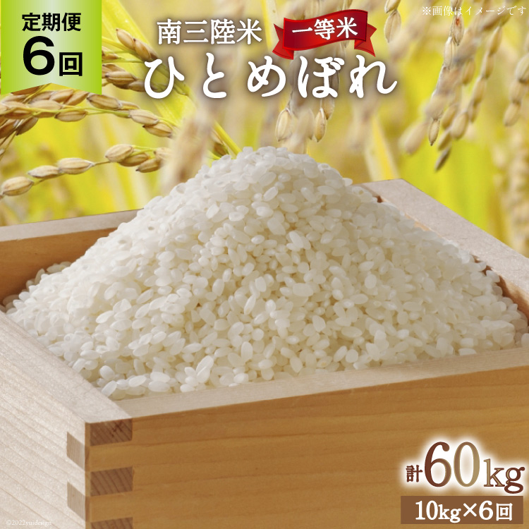 6   CY O ЂƂ߂ڂ 10kg v60kg [CsYU {錧 Cs 20565810]   R   ꓙ uh  ͂  ƒp{錧C