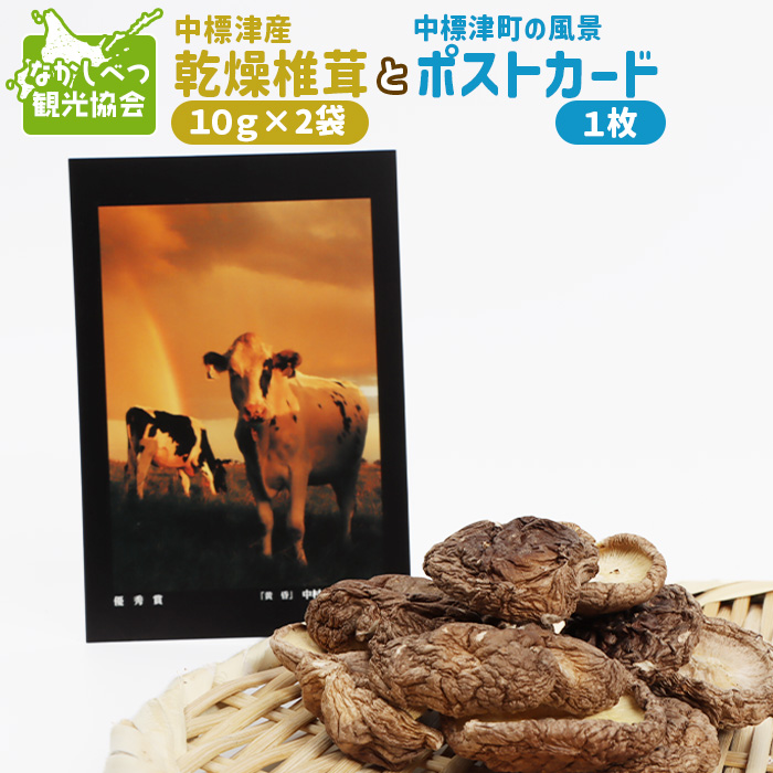 中標津産乾燥椎茸 10g×2袋 計20g なかしべつ観光協会バージョン【32008】北海道中標津町2000野菜・きのこきのこ