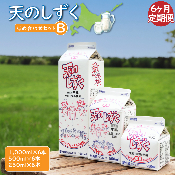 yցFS6zV̂@lߍ킹Zbga(1000ml×6{E500ml×6{E250ml×6{,v10.5L)@y51004zkCWÒ140000EiE