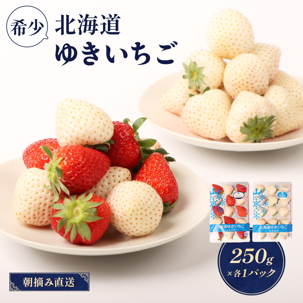 y11ȍ~AIzykCYz䂫i䂫ڂ/gق؁j×MIX 2PZbg e250g×2 v500g   GC`S  Mtg  ӂ邳Ɣ[ kC WÒ