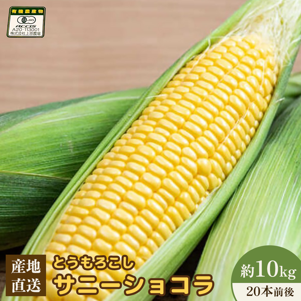【2026年度発送分】上原農場直送 有機栽培とうもろこし (サニーショコラ) 約10kg 約20本前後【66020】北海道中標津町26000野菜・きのこその他 野菜