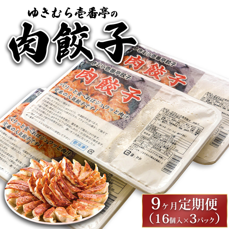 【9ヶ月定期便】ゆきむら壱番亭の肉餃子3パック(48個入り) ※離島への配送不可茨城県土浦市45000鍋セット・総菜・加工食品その他 鍋セット・総菜・加工食品