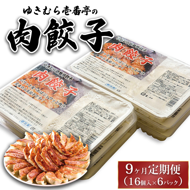 【9ヶ月定期便】ゆきむら壱番亭の肉餃子6パック(96個入り) ※離島への配送不可茨城県土浦市90000鍋セット・総菜・加工食品その他 鍋セット・総菜・加工食品
