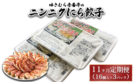 【11ヶ月定期便】ゆきむら壱番亭のニンニクにら餃子3パック(48個入り) ※離島への配送不可茨城県土浦市66000肉その他 肉