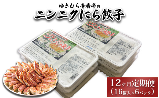 【12ヶ月定期便】ゆきむら壱番亭のニンニクにら餃子6パック(96個入り) ※離島への配送不可茨城県土浦市144000肉その他 肉
