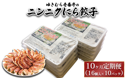 【10ヶ月定期便】ゆきむら壱番亭のニンニクにら餃子10パック(160個入り) ※離島への配送不可茨城県土浦市200000肉その他 肉