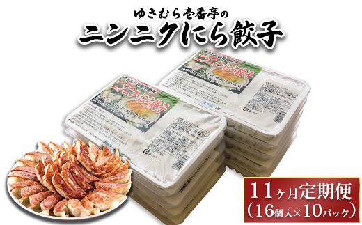 【11ヶ月定期便】ゆきむら壱番亭のニンニクにら餃子10パック(160個入り) ※離島への配送不可茨城県土浦市220000肉その他 肉