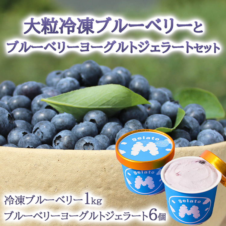 大粒冷凍ブルーベリー1kgと手作りブルーベリーヨーグルトジェラート6個セット ※離島への配送不可茨城県土浦市19000菓子・スイーツアイス・ジェラート