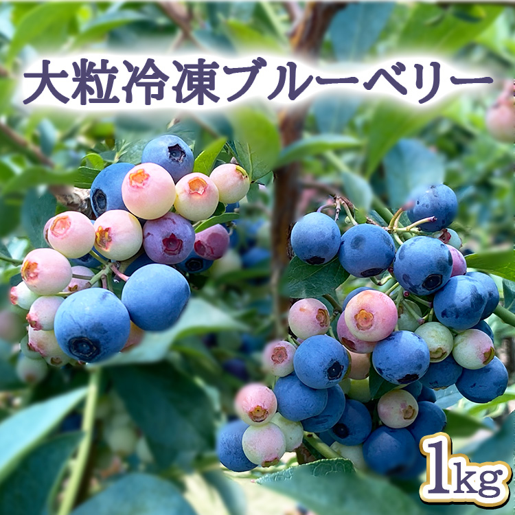 大粒冷凍ブルーベリー1kg ※離島への配送不可茨城県土浦市12000果物・フルーツその他 果物・フルーツ