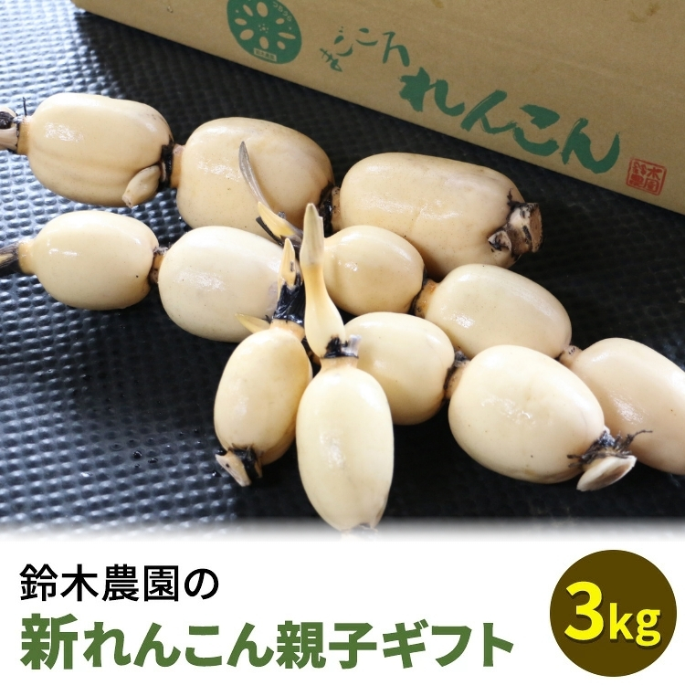 鈴木農園の新れんこん親子ギフト 3kg ※離島への配送不可 ※2025年11月上旬〜12月中旬頃に順次発送予定茨城県土浦市12000野菜・きのこ大根・ニンジン・根菜類