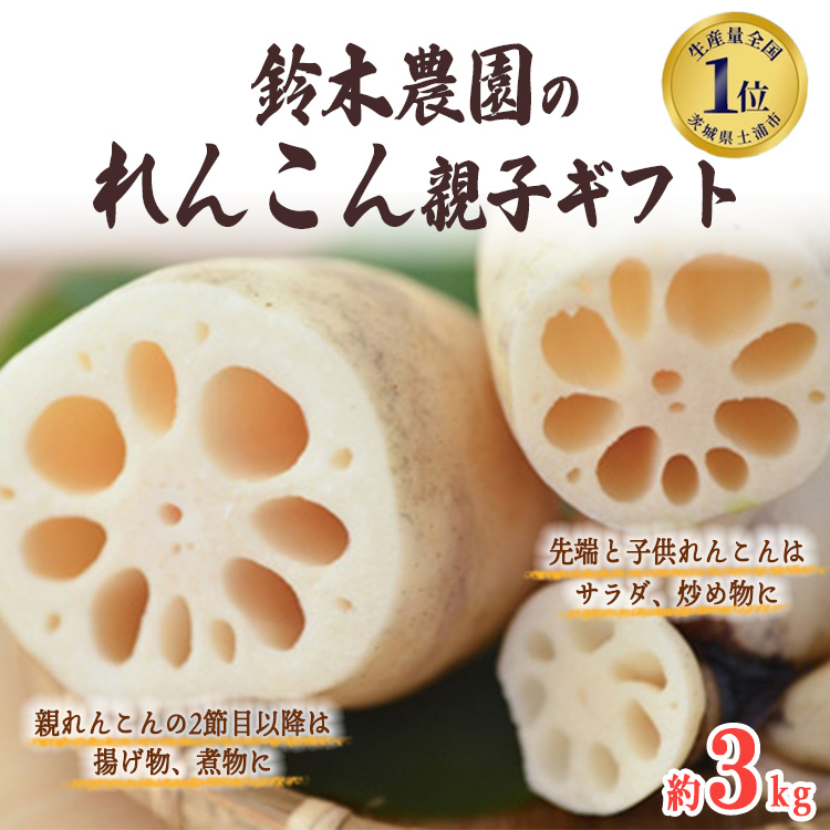 鈴木農園のれんこん親子ギフト 3kg ※離島への配送不可 ※2024年10月上旬〜12月中旬頃に順次発送予定茨城県土浦市13000野菜・きのこその他 野菜