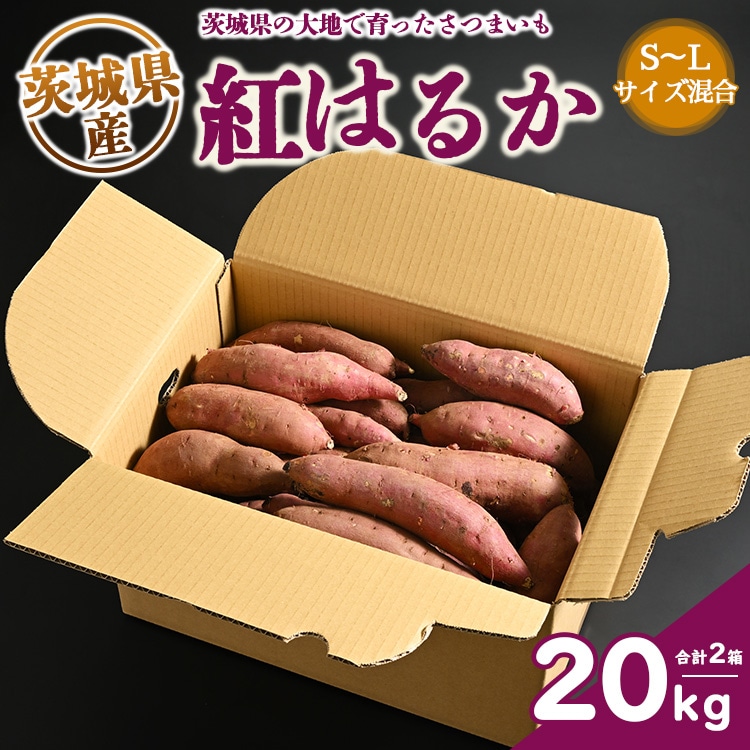 生芋 20kg S～Lサイズ混合 2箱 いも長 | さつまいも いも 生いも